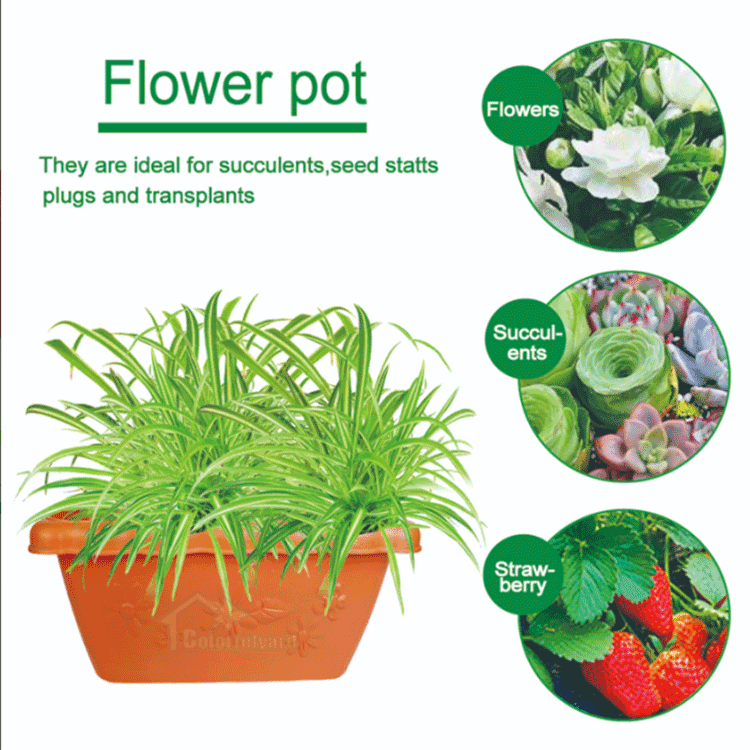 FLOWER-POT-6