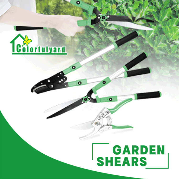 Thickened Stainless Steel Hedge Shears 5 Thickened Stainless Steel Hedge Shears 5