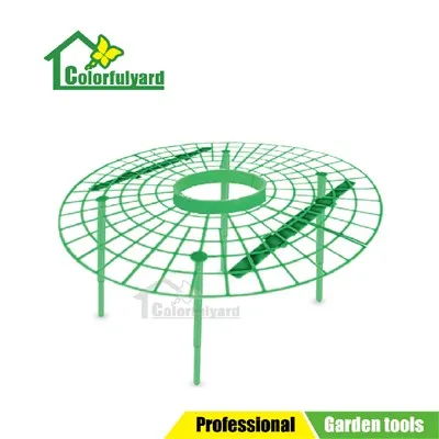 Strawberry Planting Support